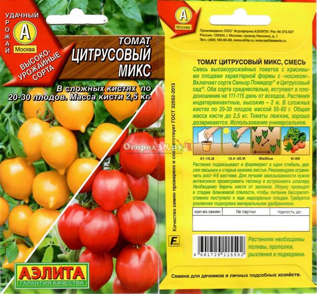 Томат Барбос: характеристика и описание сорта, фото куста и отзывы об урожайности помидоров
