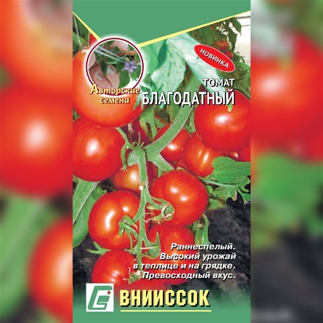 Новый сорт томата — Благодатный | Мир сада