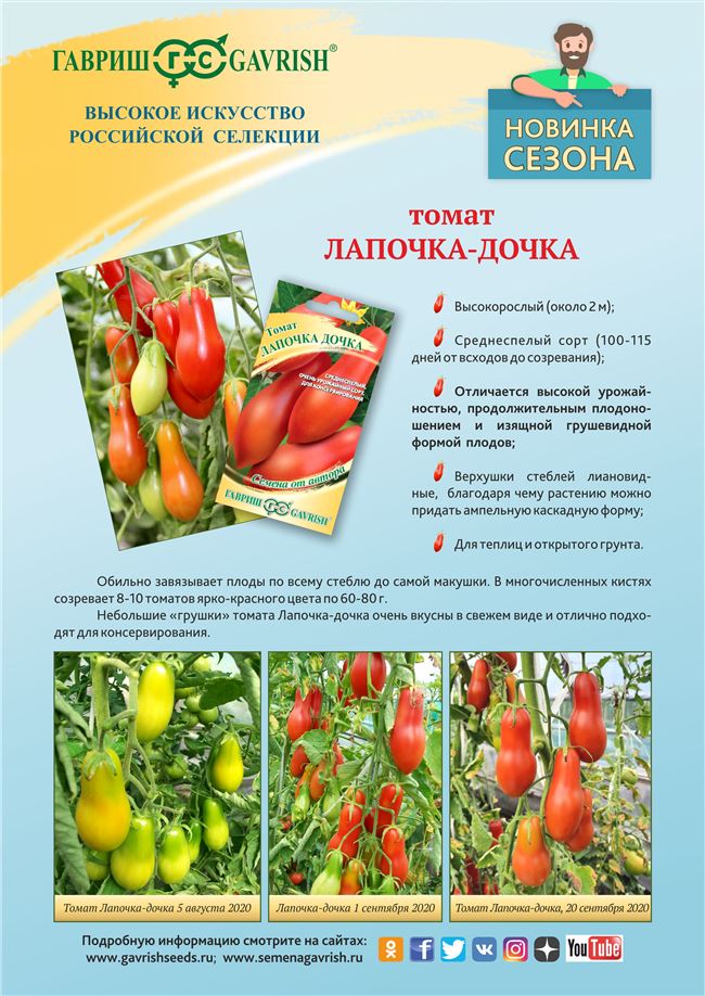 Семена томата Рио Браво в Москве – цены, характеристики, отзывы