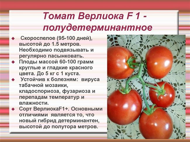 Томат Вермилион: характеристика и описание сорта, отзывы садоводов с фото