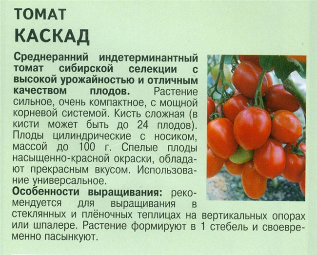 Описание томата Делициозус, его характеристика и особенности выращивания