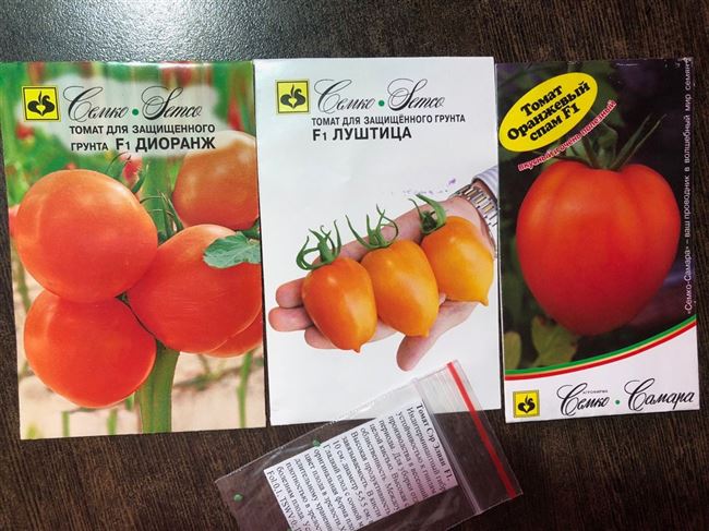 Характеристика и описание томат