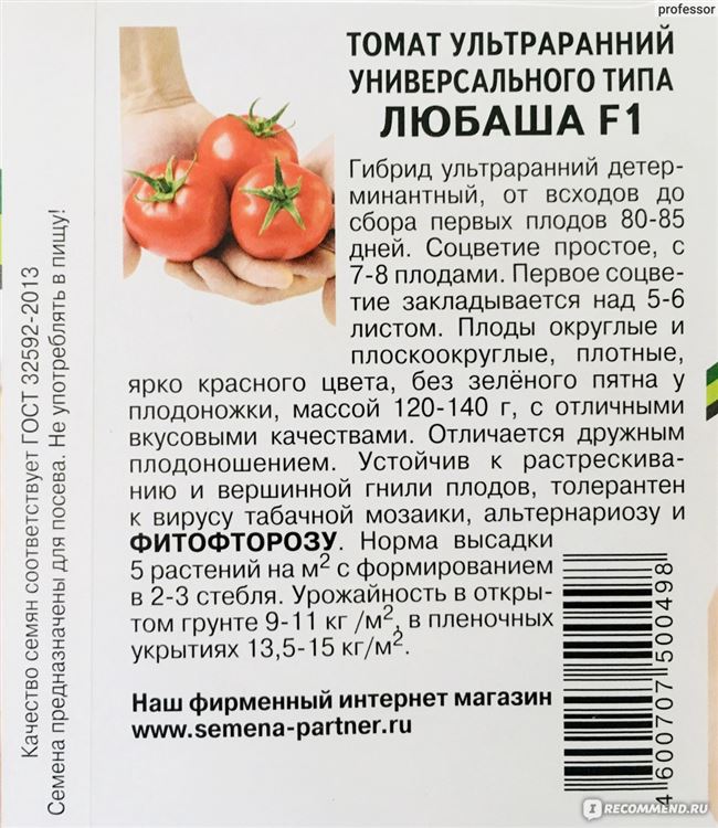 Молодой сорт для консервирования и свежих блюд — томат Мамин сибиряк: описание помидоров и характеристики