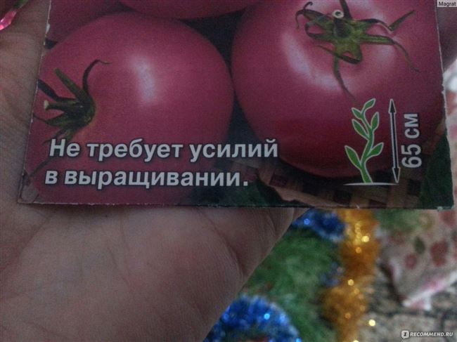 Томат Непас: описание самых урожайных и сладких сортов непасынкующихся помидоров