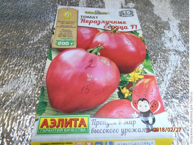В данной статье указаны достоинства и недостатки томатного сорта