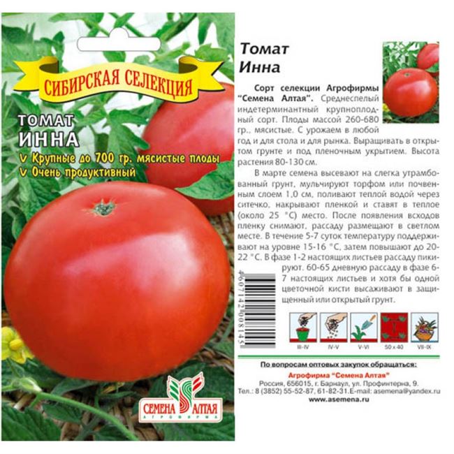 Лучшие сорта томатов для Подмосковья для открытого грунта с фото, описанием Отзывы