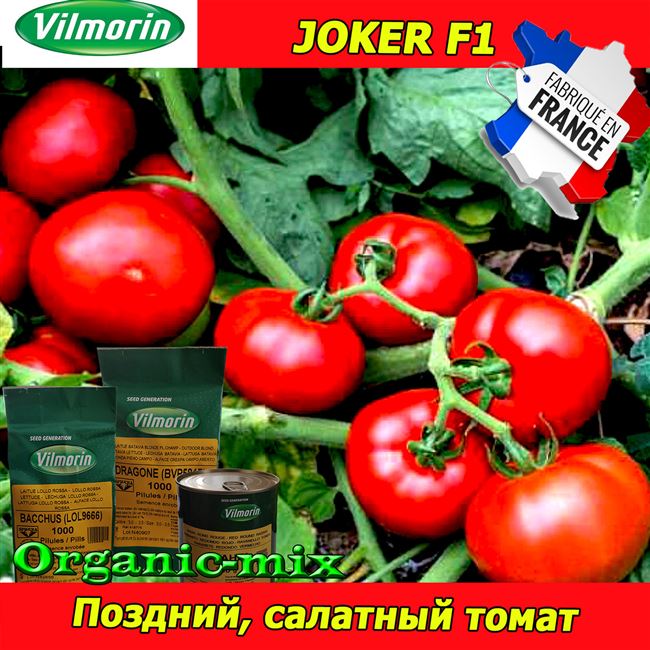 Семена томата Ретана F1, Vilmorin / Вильморин