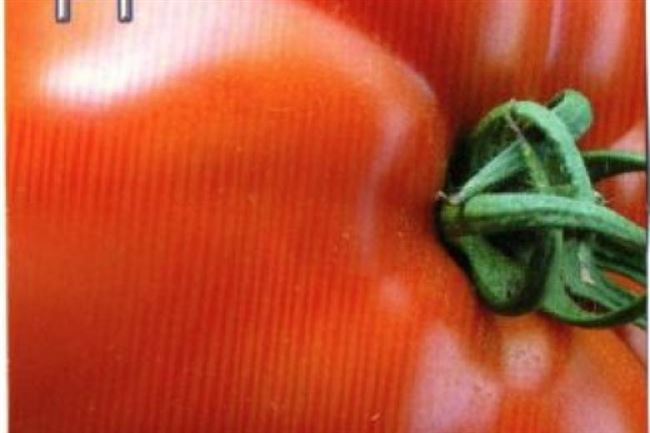 Шансон F1 — Ш, Щ — сорта томатов  — tomat-pomidor.com — отзывы на форуме | каталог