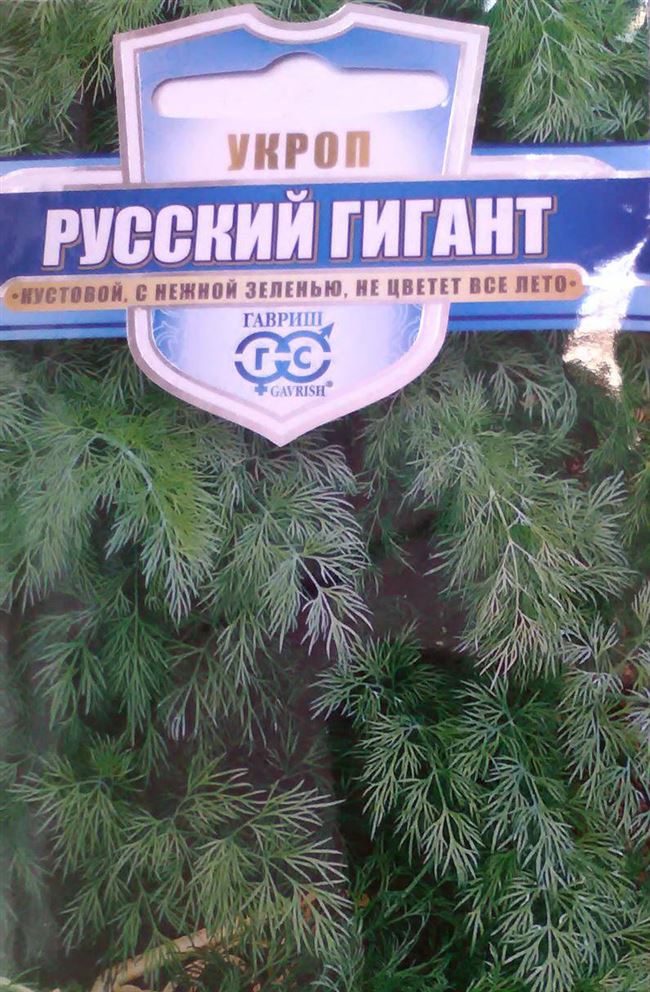Отзыв о Семена укропа Гавриш «Русский гигант» | Зелень на всю зиму.