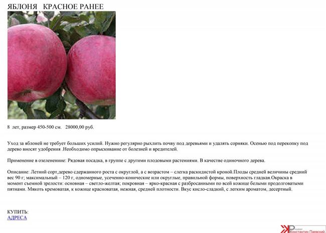 Яблоня Красное раннее: описание и характеристики сорта, выращивание и уход с фото