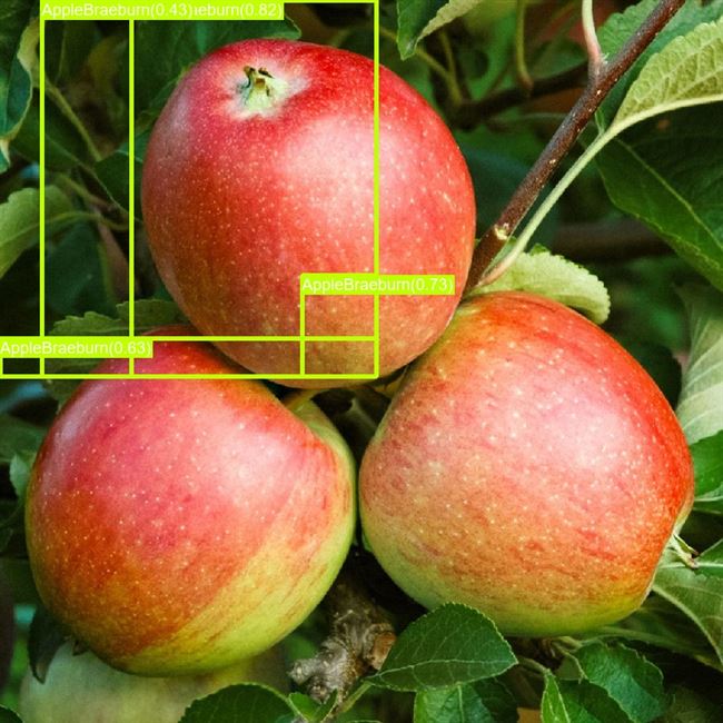 Яблоки: цвет, размер и вес