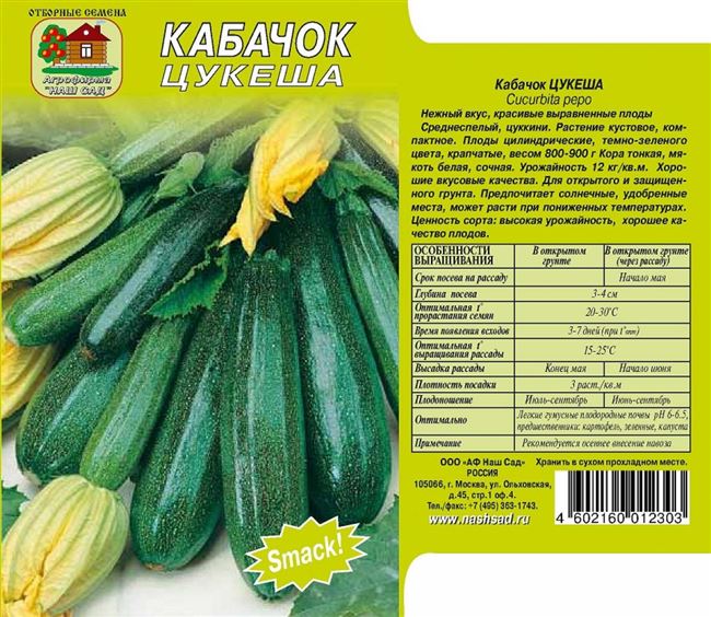 Сорта кабачка, подходящие для выращивания в Ленинградской области
