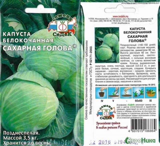 Сорта и виды капусты с описанием, характеристикой и отзывами, в том числе для выращивания в Украине, Сибири и в других регионах