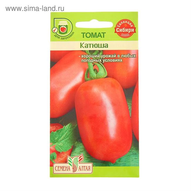 Как вырастить среднеплодный томат. Полное описание особенностей культивации гибрида Катюша