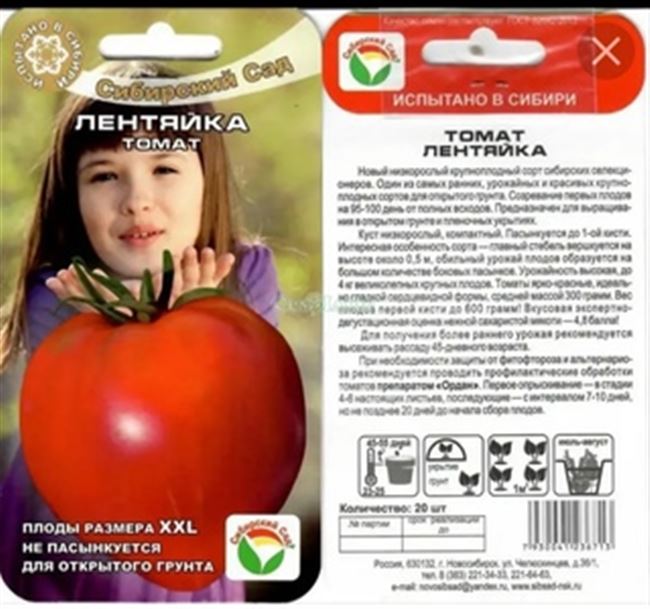 Характеристика томатов Лентяйка