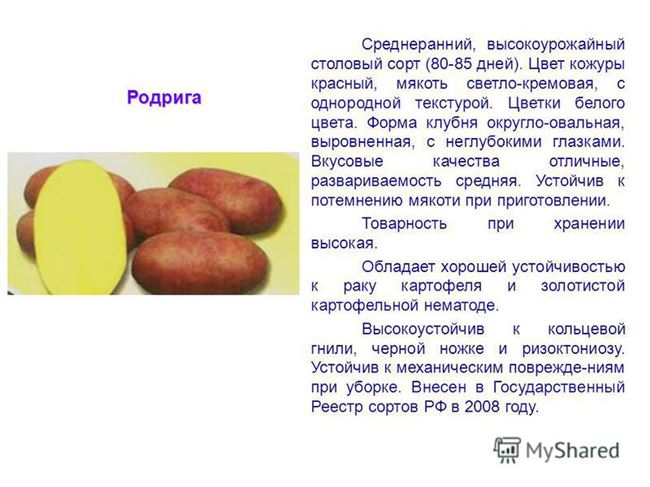 Описание сортов картофеля: