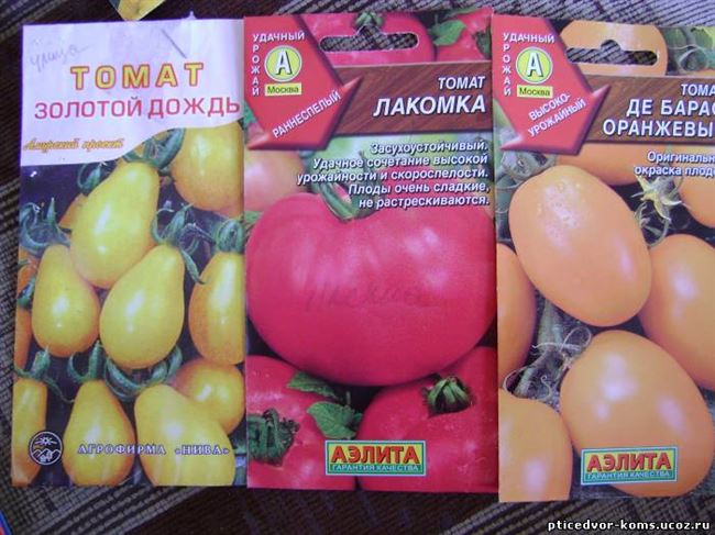 Характеристика томатов Лакомка