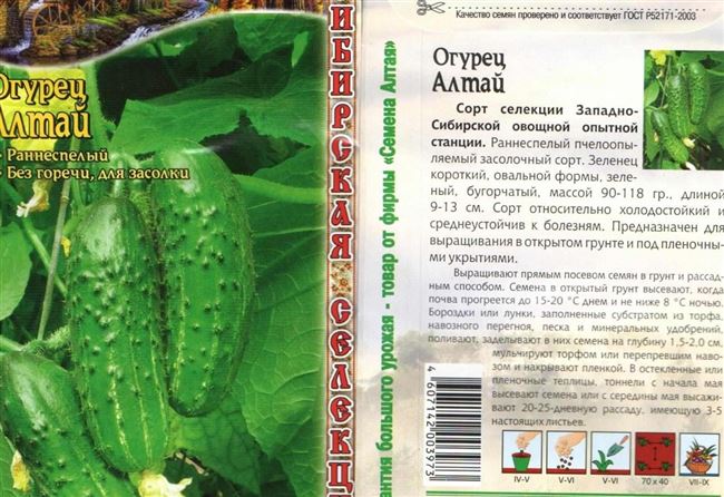 Самые подходящие сорта огурцов для Сибири