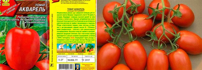 Описание и характеристика сорта томата Акварель, отзывы, фото