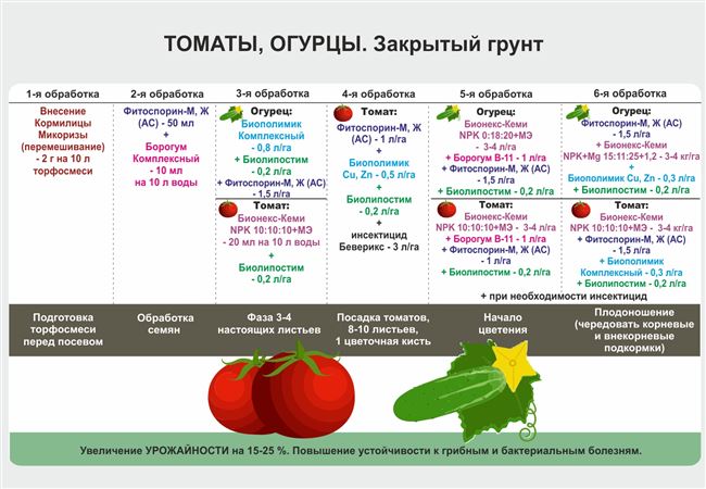 Описание томата Толстый Монах, правила выращивания и уход за растением