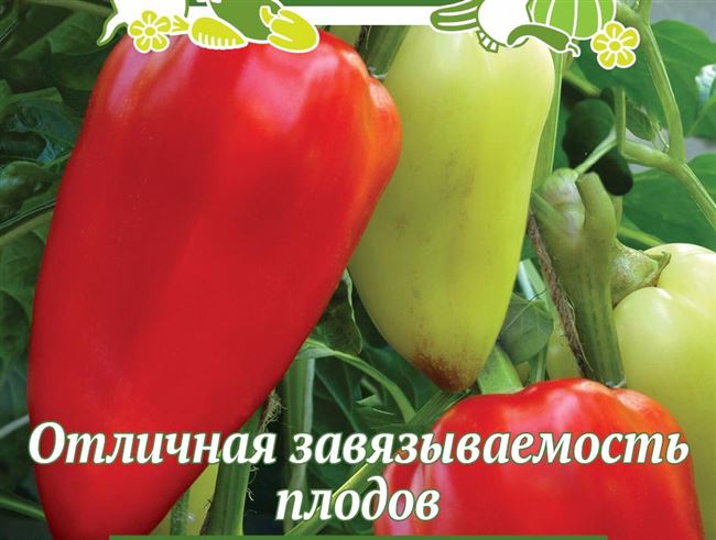 Описание сладкого перца Болгарец, отзывы, фото