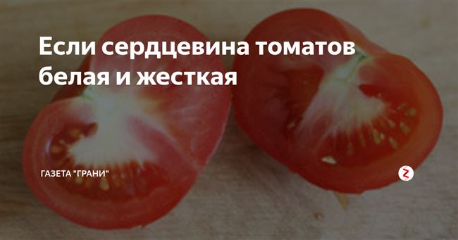 Некроз сердцевины томатов
