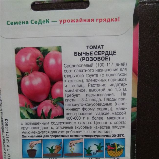 Особенности выращивания томата Бычье сердце, посадка и уход