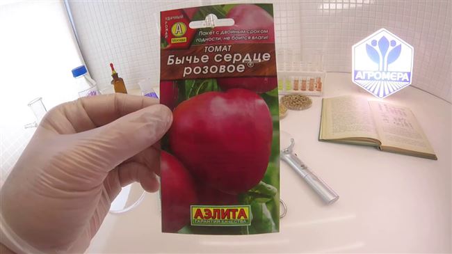 Фитофтора томатов - советы дачникам