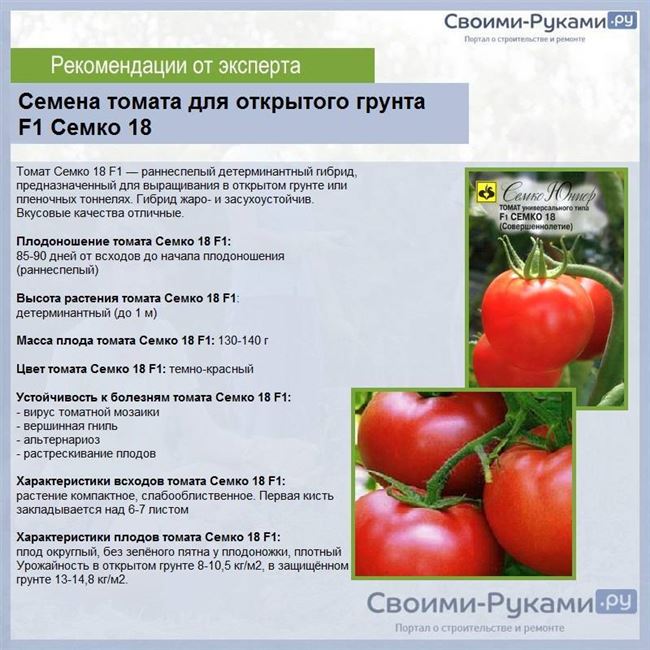 Характеристики и особенности томата
