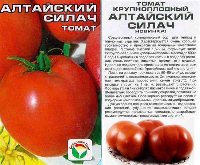 Описание и характеристика сорта томата Гигант Маслова, отзывы, фото