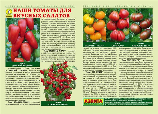 Чем отличаются томаты