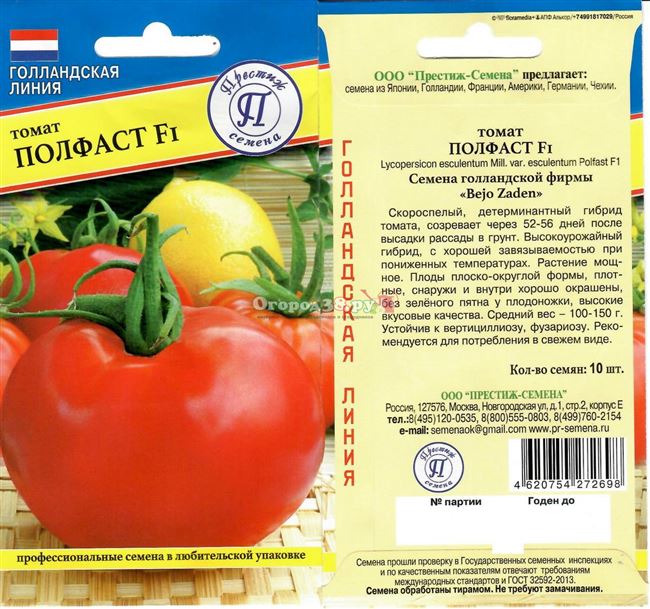 Урожайность томата Полфаст и плодоношение