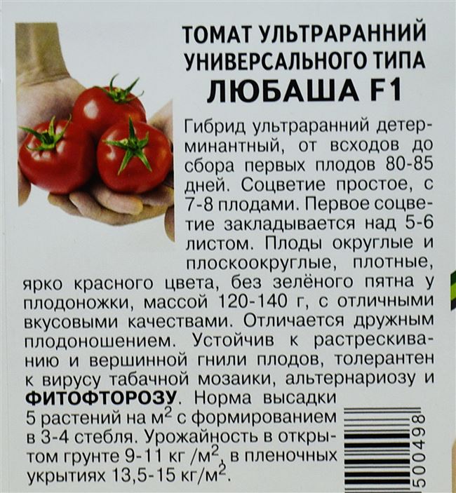 Описание томата Русский размер F1, отзывы, фото