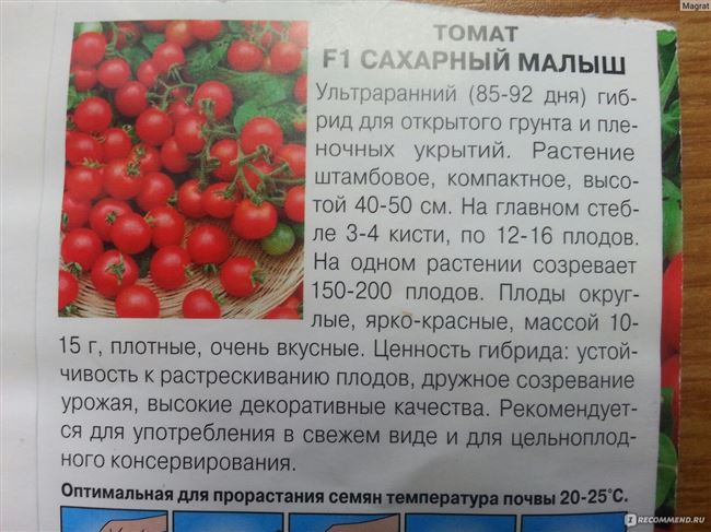 Некроз сердцевины томатов