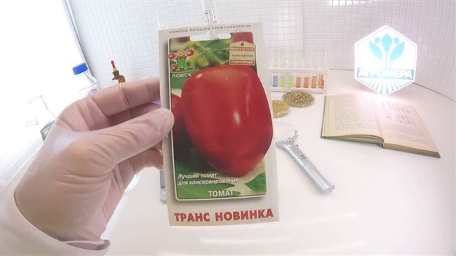 Описание сорта томата Транс новинка, его характеристика и урожайность