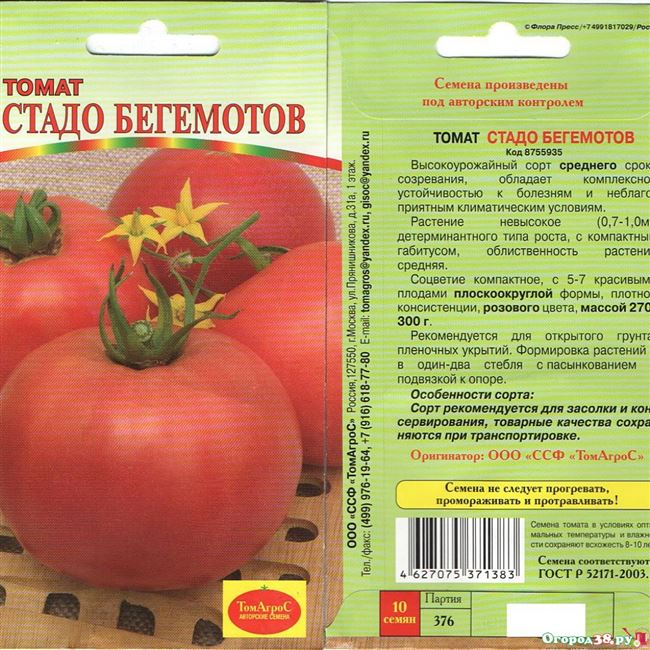 Характеристики семян томата Шанти
