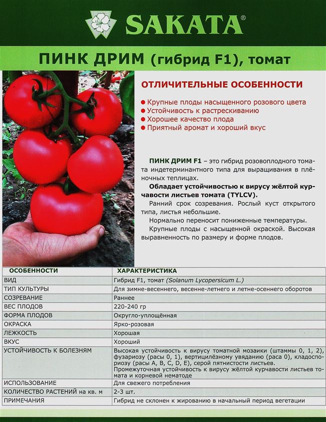 Описание сорта томата (помидора) Адванс
