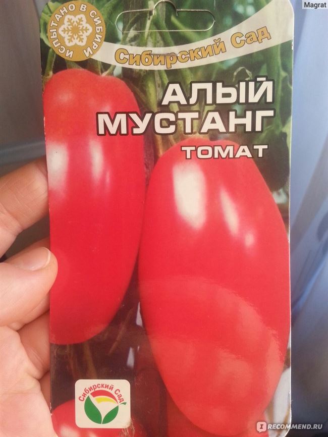 Для каких регионов подходит сорт томата Алый мустанг