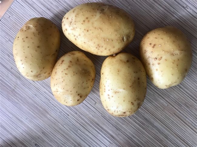Отзывы о картофеле Бриз