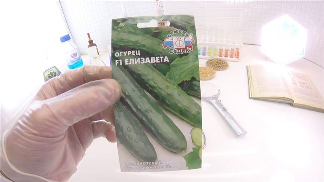 Отзыв о Семена огурца Седек «F1 Елизавета среднеспелый суперурожайный» | первые малосольные свои огурчики в этом году