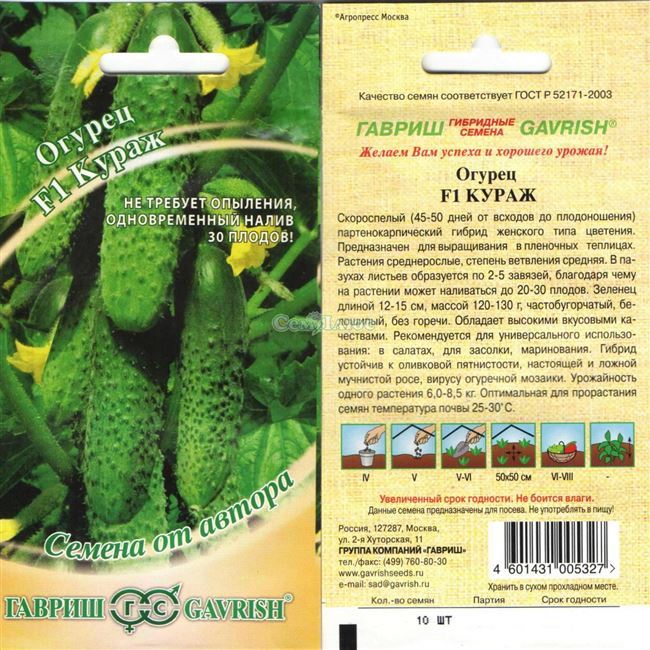 Сорта огурцов для теплицы Урала и Сибири фото описание