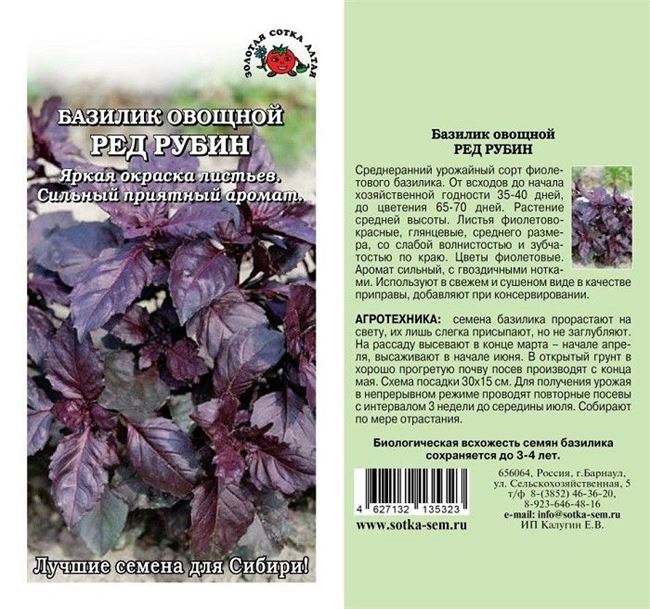 Семена Базилик пурпурный Selekt «Ред Рубин» — «Выращивание базилика с поливом Аквадуся. Обзор семян базилика Ред Рубин + фото урожая»  | отзывы