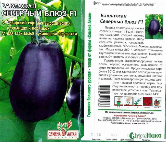 Лучшие сорта баклажанов для Сибири: описание, фото, агротехника