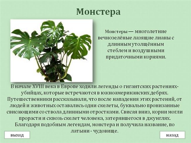 Объединение Российских предприятий селекционеров и производителей семян
