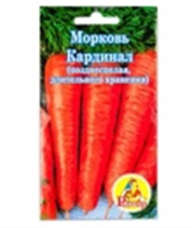 Сорта моркови для зимнего хранения: фото и описание, отзывы » eТеплица