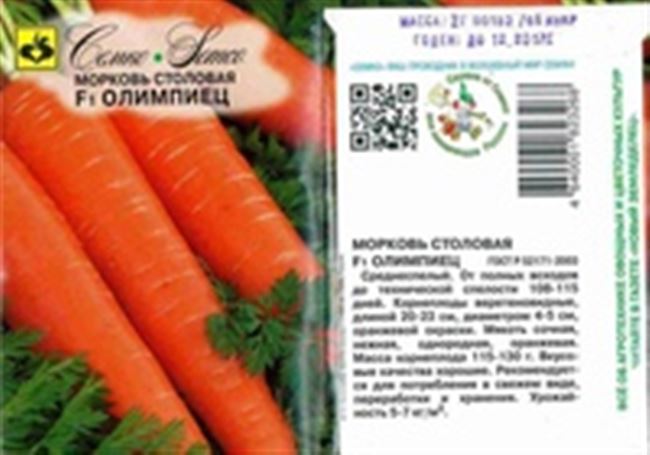 Форвард — сорт растения Морковь