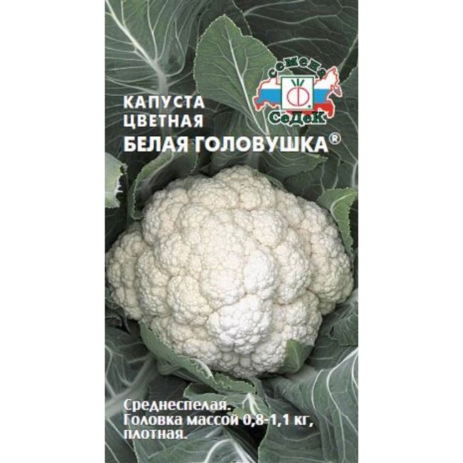 10 лучших сортов цветной капусты для регионов России