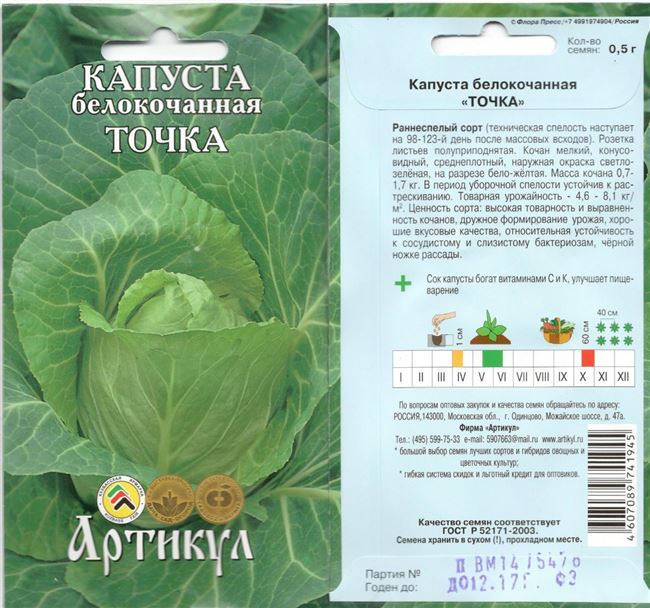 Ранние, средние и поздние сорта капусты для разных регионов России