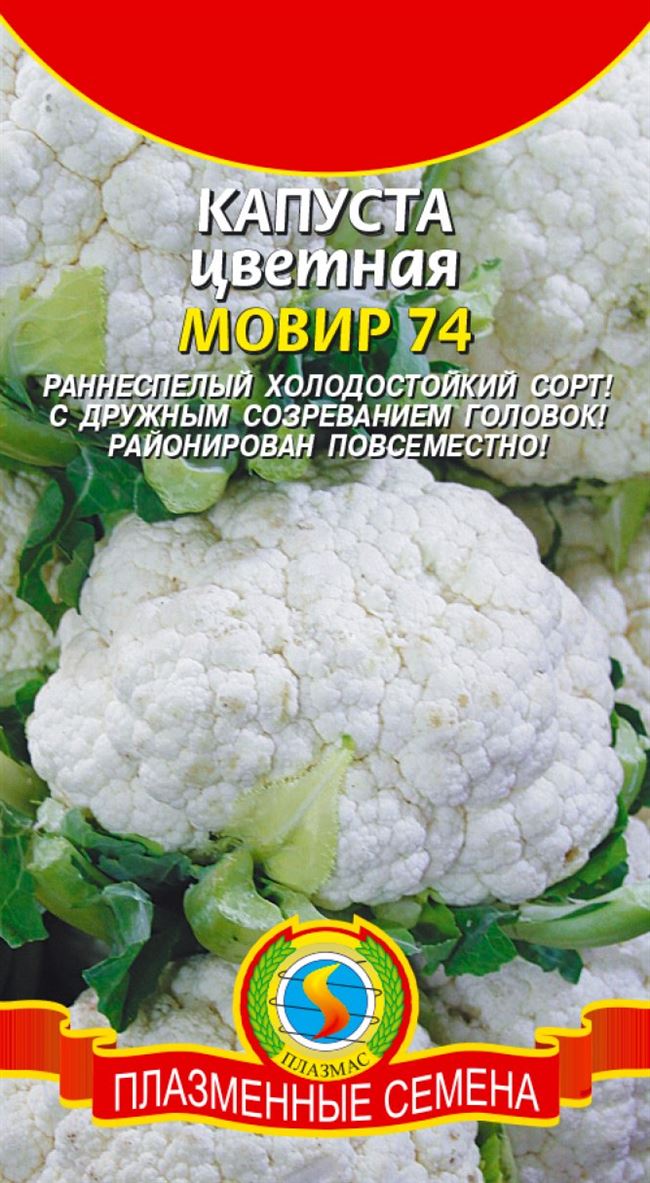 Капуста цветная Мовир 74: характеристика и описание сорта, фото, отзывы, достоинства и недостатки, особенности выращивания, урожайность
