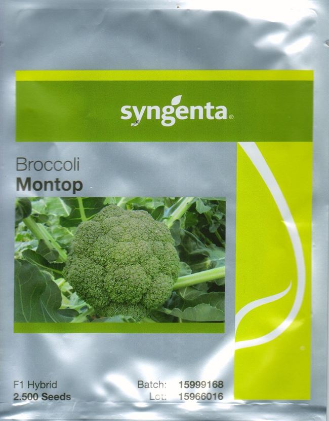 Монтоп — сорт растения Капуста брокколи